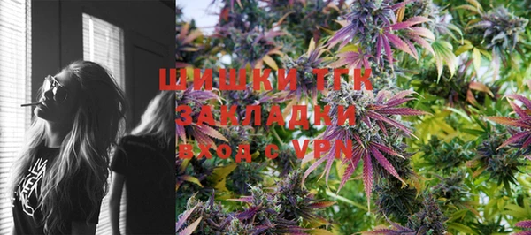 дмт Дмитров