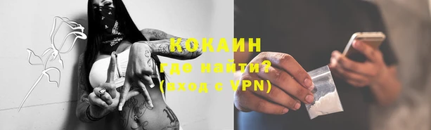 шишки Нягань