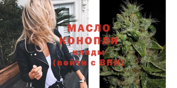 дмт Дмитров
