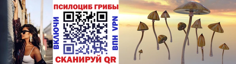 Псилоцибиновые грибы Psilocybe Озёрск